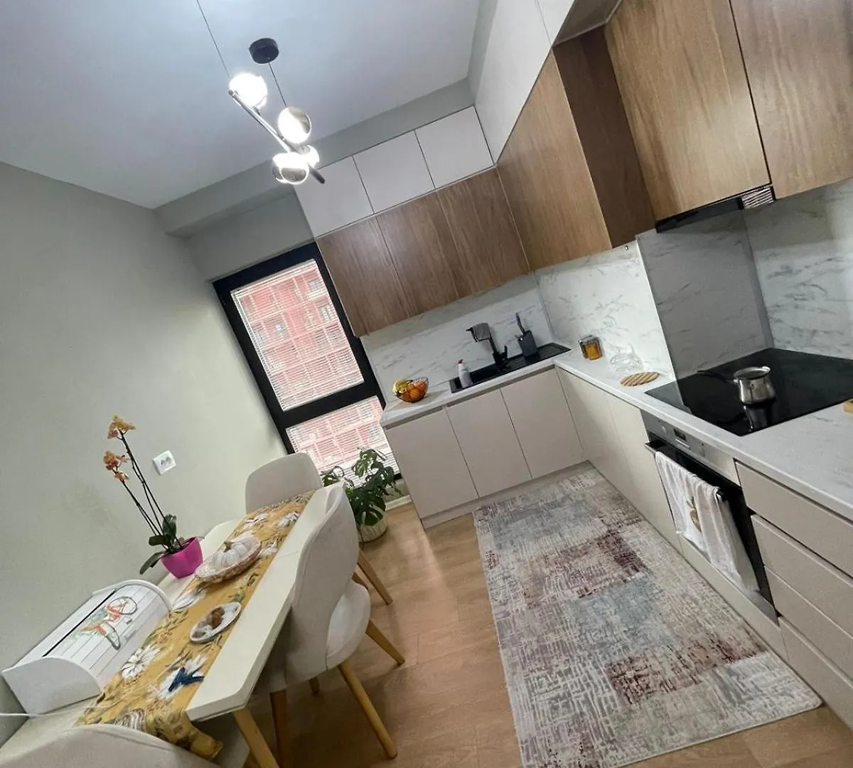 Garden Building Luxury Apartment 티라나